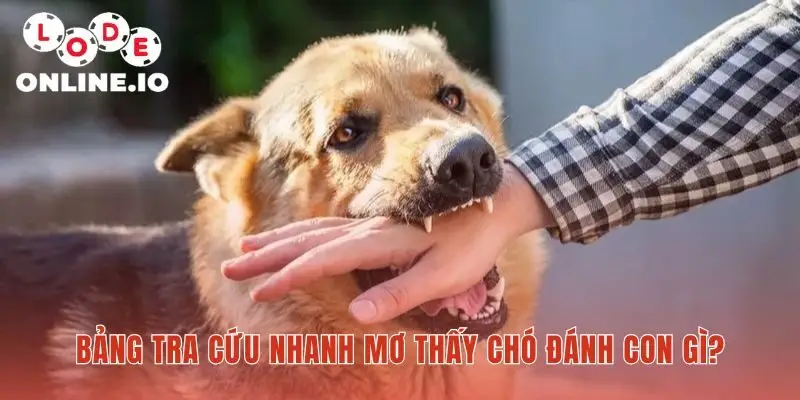 Bảng tra cứu nhanh Mơ thấy chó tổng hợp các số phổ biến