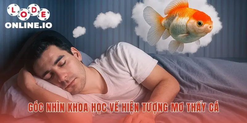 Hiện tượng mơ thấy cá qua lăng kính tâm lý và văn hóa
