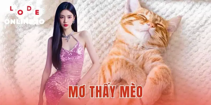 Mơ thấy mèo